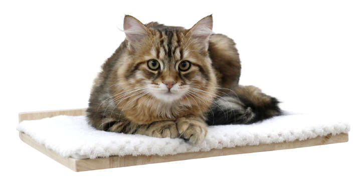 KERBL Katzen Kletterwand Alps